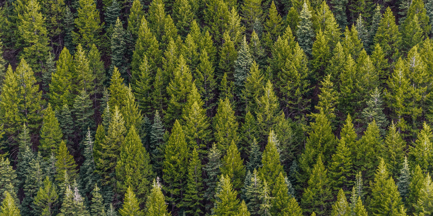 background-image